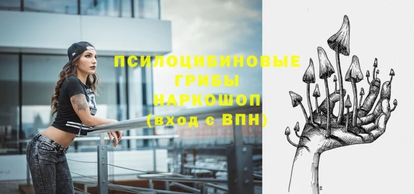 шишки Алексин