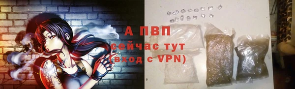 ПСИЛОЦИБИНОВЫЕ ГРИБЫ Осинники