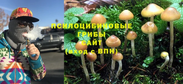 гидропоника Алзамай